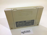 Yu Yu Hakusho SNES Super Famicom Japan - SG5393