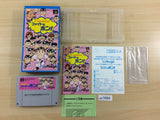 Zen Nippon Pro Wrestling Fight da Pon BOXED SNES Super Famicom Japan - UC7894
