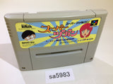 Super Zugan Mahjong SNES Super Famicom Japan - SA5983