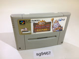 Dai Bakushou Jinsei Gekijou Ooedo Nikki SNES Super Famicom Japan - SG9467