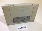 Super Zugan Mahjong SNES Super Famicom Japan - SA5983