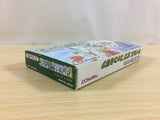 ua9938 Tales of Phantasia BOXED GameBoy Advance Japan