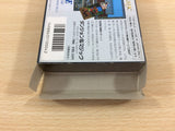 Dungeon & Magic BOXED NES Famicom Japan - UD2338
