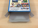 Zen Nippon Pro Wrestling Fight da Pon BOXED SNES Super Famicom Japan - UC7894