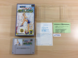 Super Nichibutsu Mahjong BOXED SNES Super Famicom Japan - UD7936