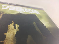fh2129 Shadow of the Colossus PS3 Japan