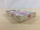 UD7696 Negima Magister Negi Magi Private Lesson BOXED GameBoy Advance Japan