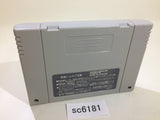SC6181 The Game of Life Super Jinsei Game SNES Super Famicom Japan