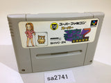 Nichibutsu Mahjong 2 Zenkoku Seiha Hen SNES Super Famicom Japan - SA2741