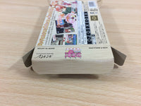 UD7696 Negima Magister Negi Magi Private Lesson BOXED GameBoy Advance Japan
