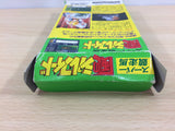 Super Kyousouba Kaze no Sylphid Keiba BOXED SNES Super Famicom Japan - UB5056