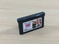 UD7696 Negima Magister Negi Magi Private Lesson BOXED GameBoy Advance Japan