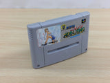Super Nichibutsu Mahjong BOXED SNES Super Famicom Japan - UD7936