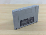 Super Nichibutsu Mahjong BOXED SNES Super Famicom Japan - UD7936