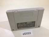 Worlds of Ultima The Savage Empire SNES Super Famicom Japan - SF2022