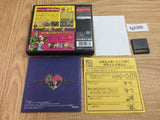FG2388 Irodzuki Tingle no Koi no Balloon Trip BOXED Nintendo DS Japan
