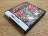 FG2388 Irodzuki Tingle no Koi no Balloon Trip BOXED Nintendo DS Japan