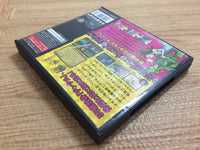 FG2388 Irodzuki Tingle no Koi no Balloon Trip BOXED Nintendo DS Japan
