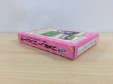 Super Momotaro Dentetsu Momotetsu Peach Boy BOXED NES Famicom Japan - UB4163