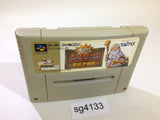Dai Bakushou Jinsei Gekijou Ooedo Nikki SNES Super Famicom Japan - SG4133