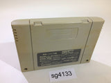 Dai Bakushou Jinsei Gekijou Ooedo Nikki SNES Super Famicom Japan - SG4133