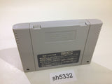 The Simpsons Bart's Nightmare SNES Super Famicom Japan - SH5332