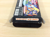 UD6234 Rockman & Forte Megaman & Bass BOXED GameBoy Advance Japan