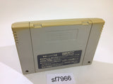 Dai Bakushou Jinsei Gekijou Ooedo Nikki SNES Super Famicom Japan - SF7966