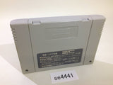 Dekitate High School SNES Super Famicom Japan - SE4441
