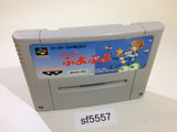 Super Puyo Puyo SNES Super Famicom Japan - SF5557