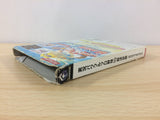 Jikkyou Powerful Pro Yakyuu 10 Chou Ketteiban BOXED GameCube Japan - DF6761