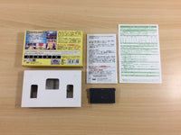 UD4168 One Piece Mezase King of Berry BOXED GameBoy Advance Japan