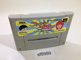 Super Zugan Mahjong SNES Super Famicom Japan - SF8989