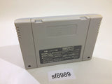 Super Zugan Mahjong SNES Super Famicom Japan - SF8989