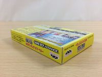 UD4168 One Piece Mezase King of Berry BOXED GameBoy Advance Japan