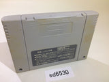 Dai Bakushou Jinsei Gekijou SNES Super Famicom Japan - SD6530