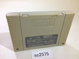 Populous SNES Super Famicom Japan - SC2575