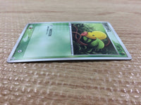 CB4144 Bellsprout Grass C PCG5 001/086 Pokemon Card TCG Japan