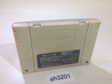 Dai Bakushou Jinsei Gekijou SNES Super Famicom Japan - SH3201
