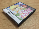 My World, My Way BOXED Nintendo DS Japan - FG2390