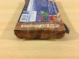 UA9667 Harry Potter and the Philosopher's Stone BOXED GameBoy Advance Japan