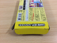 UD4168 One Piece Mezase King of Berry BOXED GameBoy Advance Japan