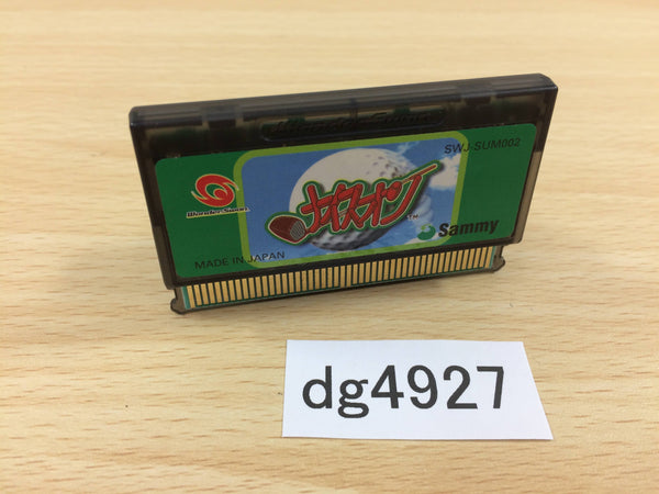 DG4927 Nice On Wonder Swan Bandai Japan
