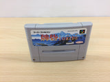 Hai Toride BOXED SNES Super Famicom Japan - UB3278