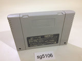 Shuushoku Game Trendy Drama SNES Super Famicom Japan - SG5106