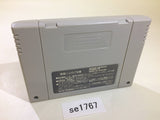 Shuushoku Game Trendy Drama SNES Super Famicom Japan - SE1767