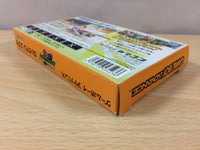 ub3054 Rockman Exe Battle Network Megaman BOXED GameBoy Advance Japan