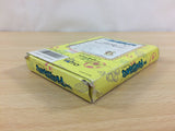 uc7789 The Flintstones The Rescue of Dino & Hoppy BOXED NES Famicom Japan