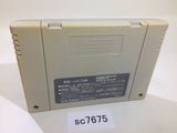 SC7675 F1 Grand Prix Racing SNES Super Famicom Japan