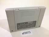 Nichibutsu Arcade Classics 2 Heiankyo Alien SNES Super Famicom Japan - SF3973